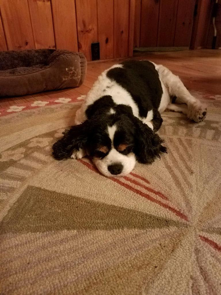 Thought of the week - Charlie